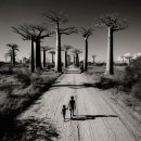 Андрей П фотография #37 (источник - https://vk.com/id417849)