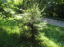 Юрій Бойко фотография #6 (источник - https://vk.com/id251893288)