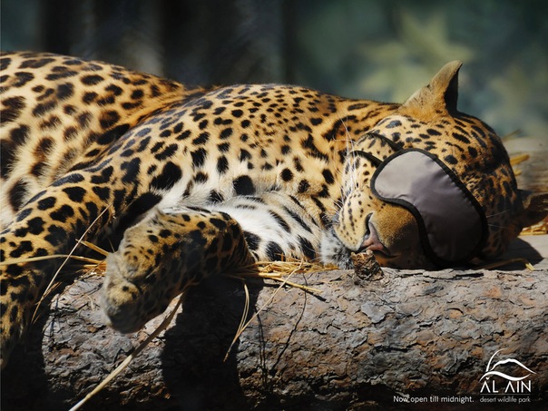 №7, Алина Кравец, Минск, Беларусь №7, Алина Кравец, Минск, Беларусь