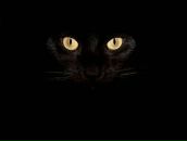 Фотография Романовой Татьяны