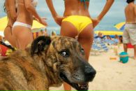 Вася Ластівка фотография #1