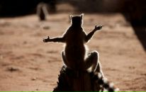 Фотография Жилкина Михаила