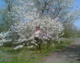 Наташа Білоус фотография #32 (источник - https://vk.com/id103524110)