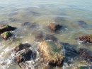 Роман Слівінський фотография #27 (источник - https://vk.com/id11629027)