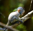 Фотография Angelok Lidok