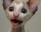 Фотография Шустровой Светланы