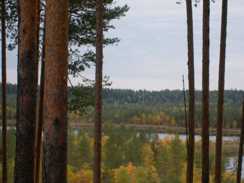 Иван Бородулин фотография #25