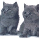 Мисс Ля_зё фотография #1