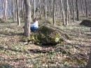 Марія Свіщова фотография #9 (источник - https://vk.com/id62797148)