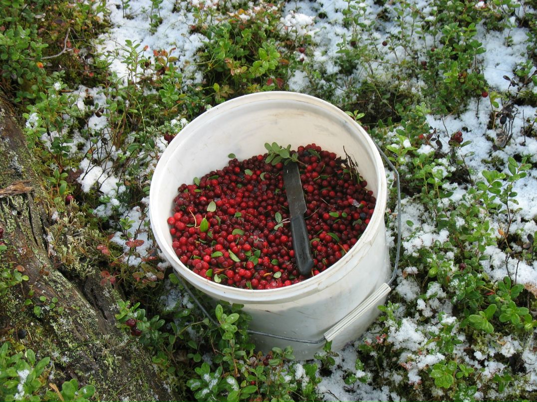 Константин Костин фотография #45