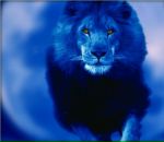 Фотография Данилова Ивана