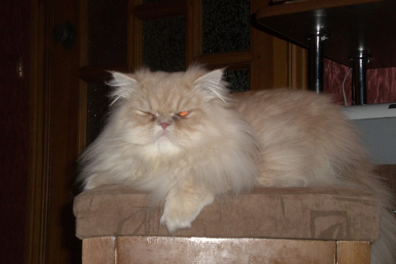 Иван Фурсов фотография #47