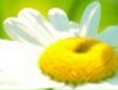 Яна Excale фотография #29 (источник - https://vk.com/id727315)