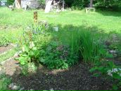 Фотография Любимой Ирины