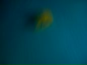 Ірина Матвійчук фотография #19 (источник - https://vk.com/id38795452)