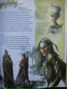 Scatur Cervina фотография #17 (источник - https://vk.com/id113406680)