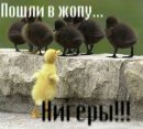 Андрій Пащук фотография #18 (источник - https://vk.com/id28839644)