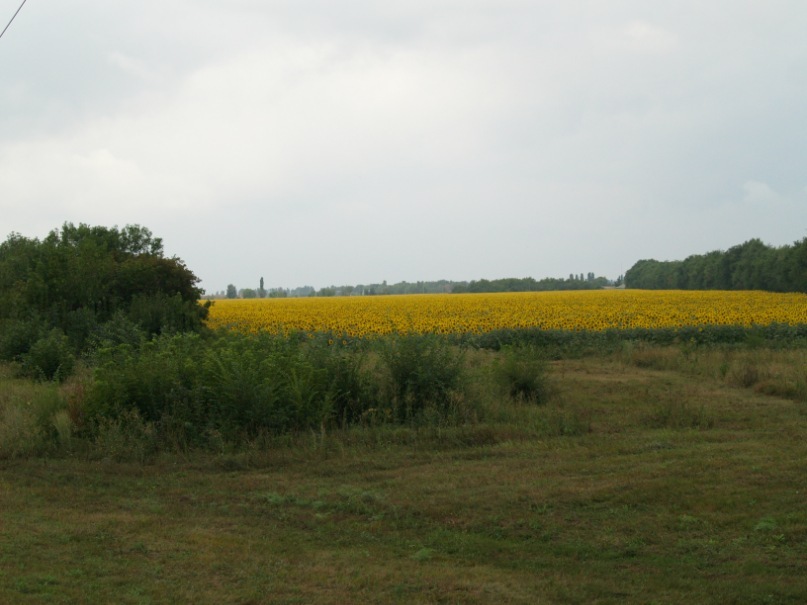 Дима Крылов фотография #34