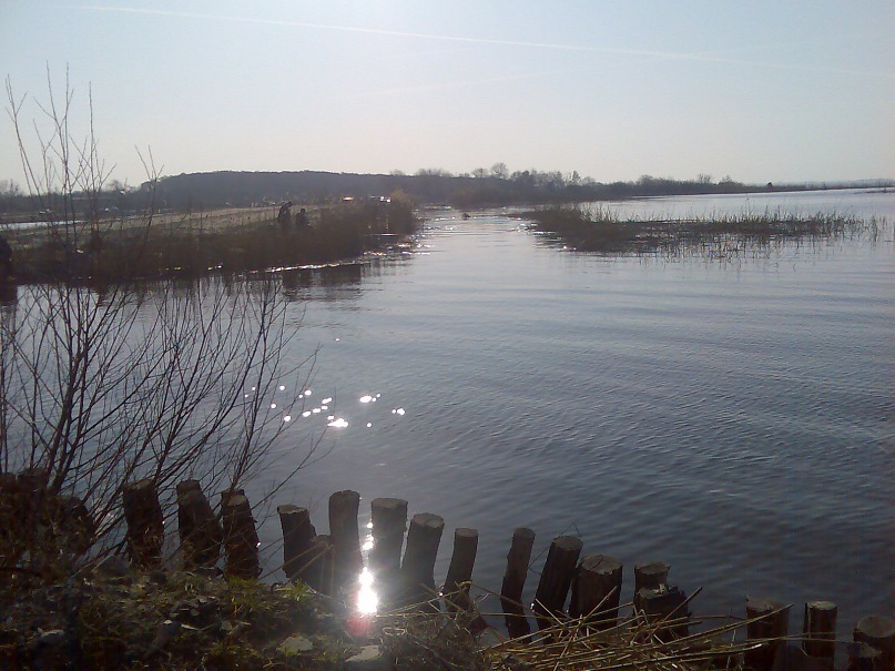 Сергей Молдован фотография #48