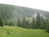 Юрій Осіпчук фотография #31 (источник - https://vk.com/id1744459)