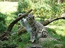Аліна Комарницька фотография #9 (источник - https://vk.com/id151660179)