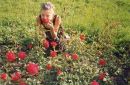 Фотография Шантыревой Ольги