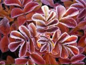 Фотография Филипповой Ирины