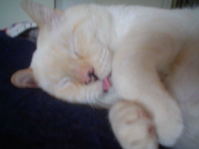 Igor Tarasov фото №43