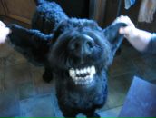 Фотография Попова Олега