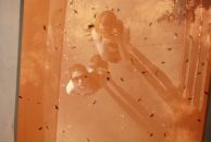 Фотография Зыряновой Кристины