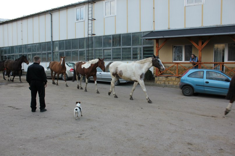 Денис Наводный фотография #12