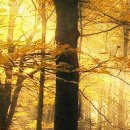 Жанна Щічко фотография #39 (источник - https://vk.com/id133268671)