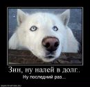 Богдан Вітинський фотография #31 (источник - https://vk.com/id21067711)