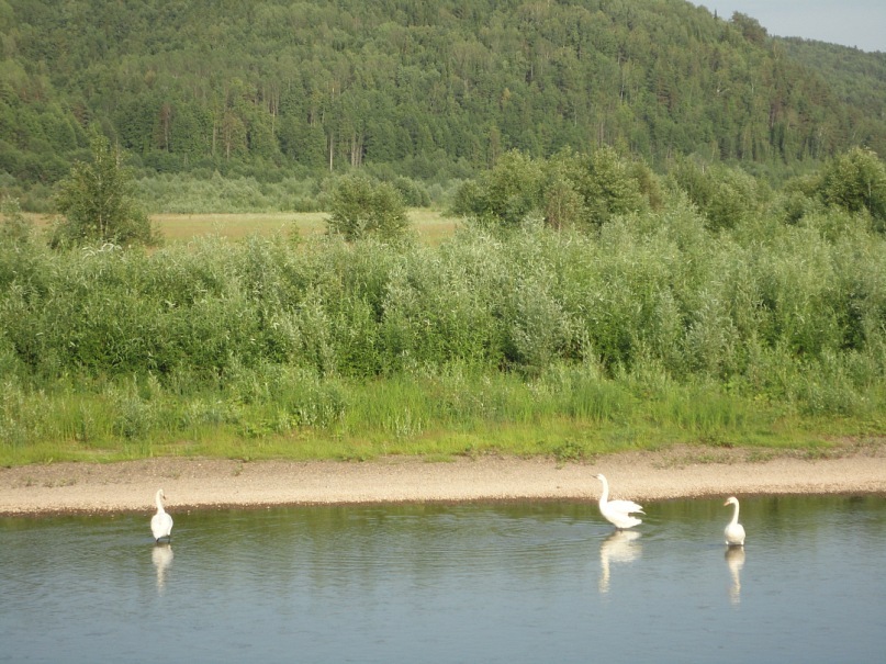 Наталья Пушкарева фотография #45