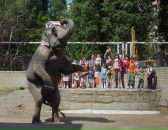 Фотография Бибиной Ольги