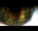 Фотография Мафина Иоанна