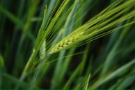 Виктор Иванов фотография #9 (источник - https://vk.com/id2597380)