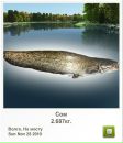 Василий Мыс фотография #29 (источник - https://vk.com/id31481818)