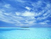 Анна Петрова фотография #2 (источник - https://vk.com/id1022298)