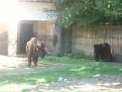 Віка Богатюк фотография #40 (источник - https://vk.com/id77462187)