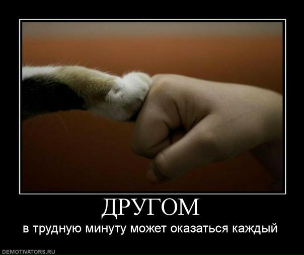 Александр Пенчук фото №22