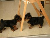 Владлєна Козачок фотография #39 (источник - https://vk.com/id98642620)