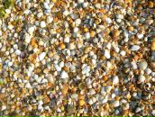 Фотография Шкабуриной Натальи