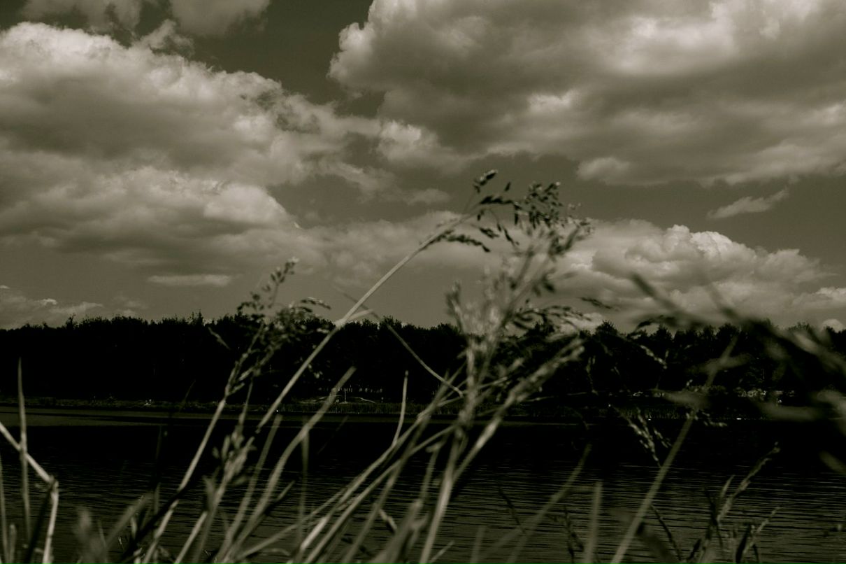 Антон Веселов фотография #12