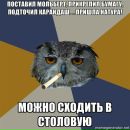 Ярослава Беляєва фотография #20 (источник - https://vk.com/id56331252)