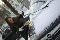 Фотография Пчёлки Майи