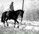 Фотография Твороговой Дарьи
