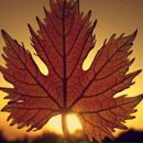 Фотография Солодки Людмилы