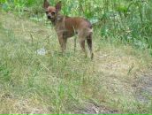 Антон Гулин фотография #14 (источник - https://vk.com/id18764800)