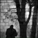 Фотография Силаева Алексея